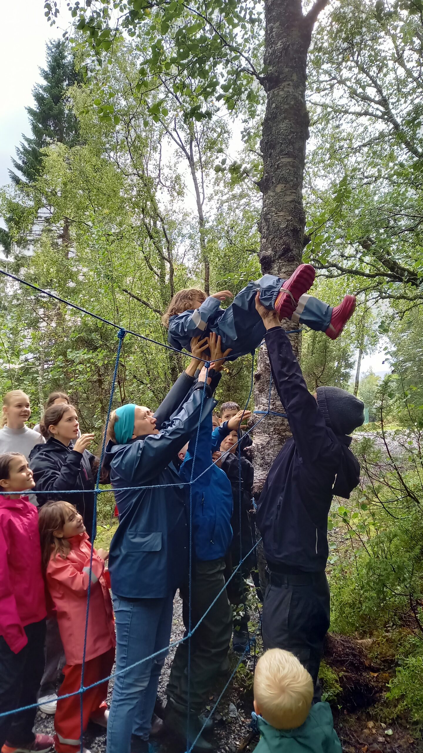 voksne løfter et barn over en hindring i skogen